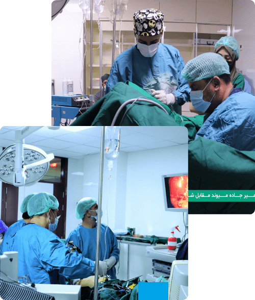 About Image1